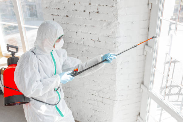 Asbestos and Lead Testing During Mold Inspection in Stockton, CA